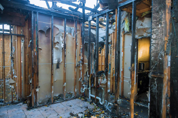 Professional Fire Damage Removal technician working in Lake Nacimiento, CA